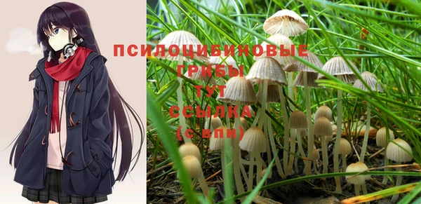 прущая мука Новодвинск