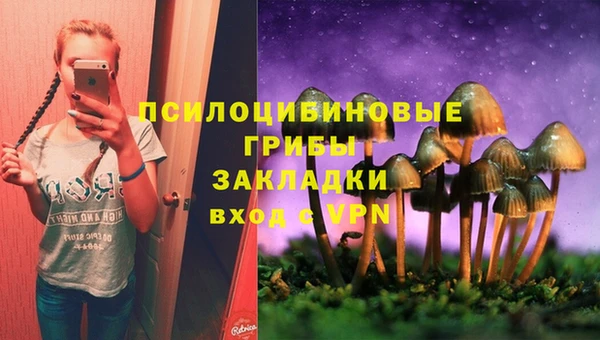 прущая мука Новодвинск