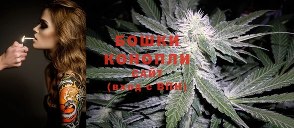 метадон Новозыбков
