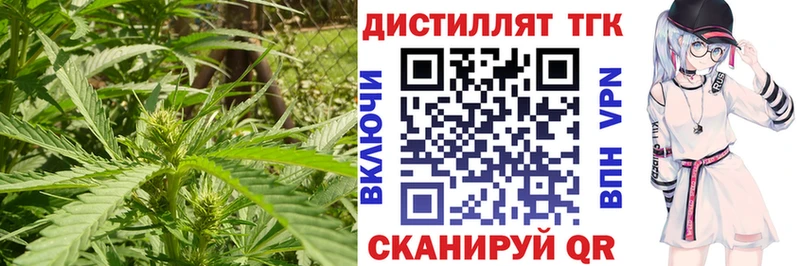 купить   Тихвин  ТГК гашишное масло 