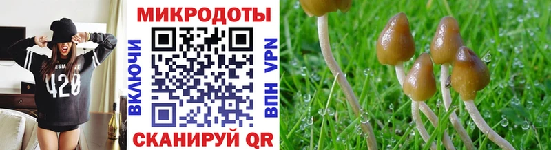 блэк спрут ONION  Тихвин  Псилоцибиновые грибы Magic Shrooms 